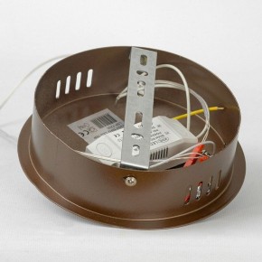 Подвесной светильник Lussole Dade LSP-7250 в Игриме - igrim.mebel24.online | фото 6