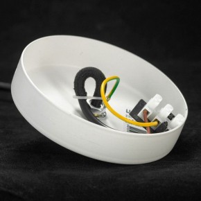 Подвесной светильник Lussole LSP-86 LSP-8601 в Игриме - igrim.mebel24.online | фото 4