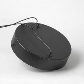 Подвесной светильник Lussole Mitchell LSP-7308 в Игриме - igrim.mebel24.online | фото 5