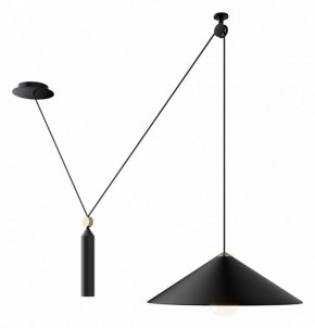 Подвесной светильник Maytoni Peso P080PL-01B в Игриме - igrim.mebel24.online | фото 3