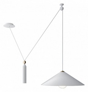 Подвесной светильник Maytoni Peso P080PL-01W в Игриме - igrim.mebel24.online | фото 2