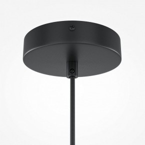 Подвесной светильник Maytoni Roots MOD194PL-01W1 в Игриме - igrim.mebel24.online | фото 5
