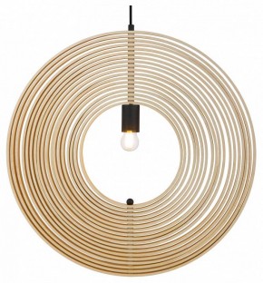 Подвесной светильник Maytoni Roots MOD197PL-01W2 в Игриме - igrim.mebel24.online | фото 2