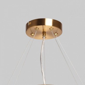 Подвесной светильник MW-Light Илоника 10 451013006 в Игриме - igrim.mebel24.online | фото 10