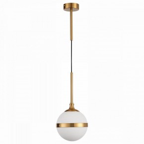 Подвесной светильник ST-Luce Arbe SL1157.303.01 в Игриме - igrim.mebel24.online | фото 2