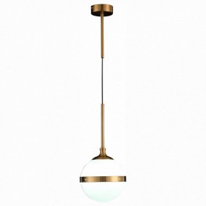 Подвесной светильник ST-Luce Arbe SL1157.303.01 в Игриме - igrim.mebel24.online | фото 3
