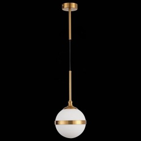 Подвесной светильник ST-Luce Arbe SL1157.303.01 в Игриме - igrim.mebel24.online | фото 4