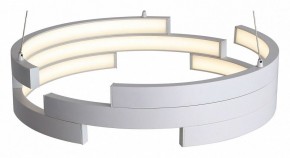 Подвесной светильник ST-Luce Genuine SL963.503.01 в Игриме - igrim.mebel24.online | фото