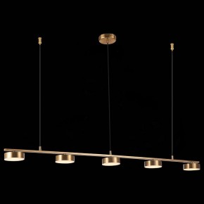 Подвесной светильник ST-Luce Pances SL6000.303.05 в Игриме - igrim.mebel24.online | фото 5