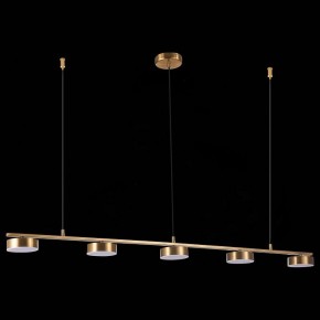 Подвесной светильник ST-Luce Pances SL6000.303.05 в Игриме - igrim.mebel24.online | фото 6