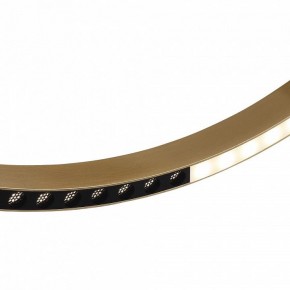 Подвесной светильник ST-Luce PARILLA SL6238.333.01 в Игриме - igrim.mebel24.online | фото 6