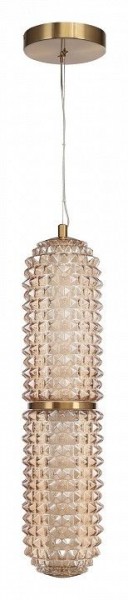 Подвесной светильник ST-Luce SAGUARO SL6144.303.01 в Игриме - igrim.mebel24.online | фото 3