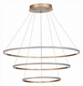 Подвесной светильник ST-Luce ST604 OUT ST604.243.114 в Игриме - igrim.mebel24.online | фото 2