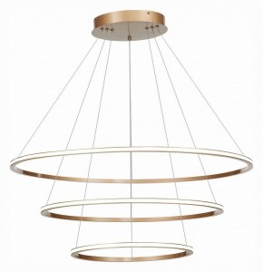 Подвесной светильник ST-Luce ST604 OUT ST604.243.114 в Игриме - igrim.mebel24.online | фото 3