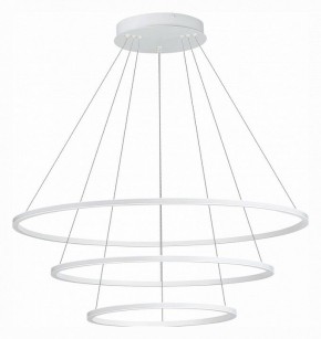 Подвесной светильник ST-Luce ST604 OUT ST604.543.114 в Игриме - igrim.mebel24.online | фото 2