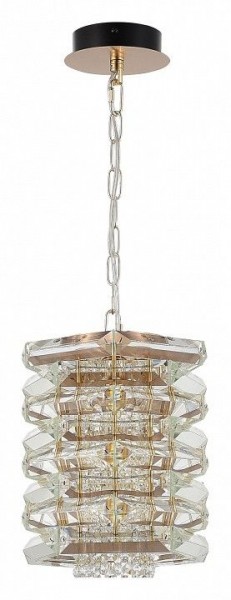 Подвесной светильник ST-Luce STROZZI SL6137.203.01 в Игриме - igrim.mebel24.online | фото 3