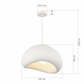 Подвесной светильник ST-Luce WABI SABI SL1522.513.01 в Игриме - igrim.mebel24.online | фото 5