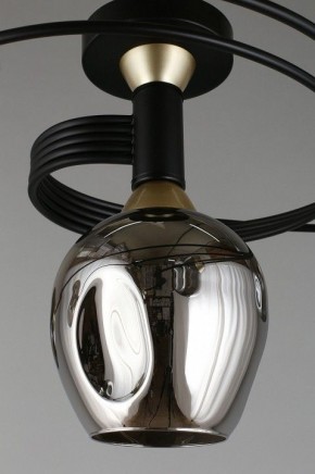 Потолочная люстра Aployt Flor APL.611.17.06 в Игриме - igrim.mebel24.online | фото 9