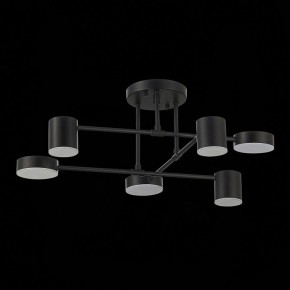 Потолочная люстра EVOLUCE Nobel SLE201042-06 в Игриме - igrim.mebel24.online | фото 14