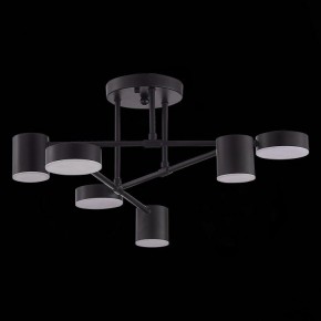 Потолочная люстра EVOLUCE Nobel SLE201042-06 в Игриме - igrim.mebel24.online | фото 2