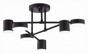 Потолочная люстра EVOLUCE Nobel SLE201042-06 в Игриме - igrim.mebel24.online | фото 5