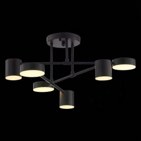 Потолочная люстра EVOLUCE Nobel SLE201042-06 в Игриме - igrim.mebel24.online | фото 7