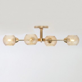 Потолочная люстра Rivoli Amalia Б0050815 в Игриме - igrim.mebel24.online | фото 4
