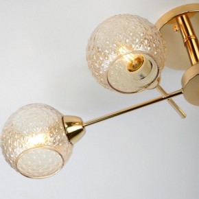 Потолочная люстра Rivoli Amalia Б0050815 в Игриме - igrim.mebel24.online | фото 8