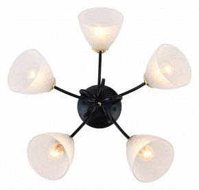 Потолочная люстра Rivoli Luiza Б0054904 в Игриме - igrim.mebel24.online | фото 2