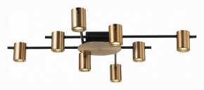 Потолочная люстра ST-Luce Veroli SL1207.402.08 в Игриме - igrim.mebel24.online | фото 2