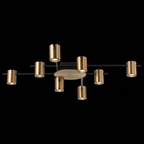 Потолочная люстра ST-Luce Veroli SL1207.402.08 в Игриме - igrim.mebel24.online | фото 4
