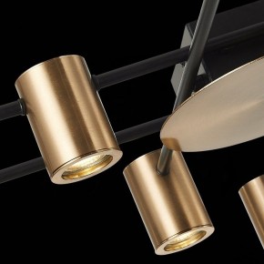 Потолочная люстра ST-Luce Veroli SL1207.402.08 в Игриме - igrim.mebel24.online | фото 7