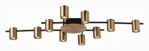 Потолочная люстра ST-Luce Veroli SL1207.402.10 в Игриме - igrim.mebel24.online | фото 2