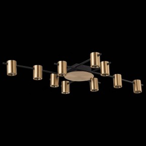 Потолочная люстра ST-Luce Veroli SL1207.402.10 в Игриме - igrim.mebel24.online | фото 3