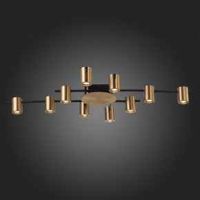 Потолочная люстра ST-Luce Veroli SL1207.402.10 в Игриме - igrim.mebel24.online | фото 6
