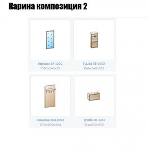 Прихожая Карина (модульная) в Игриме - igrim.mebel24.online | фото 6