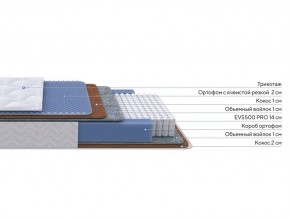 PROxSON Матрас Active Duo M/F (Ткань Трикотаж Эко) 120x200 в Игриме - igrim.mebel24.online | фото 1
