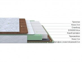 PROxSON Матрас Green Duo M/F (Tricotage Dream) 90x190 в Игриме - igrim.mebel24.online | фото 3