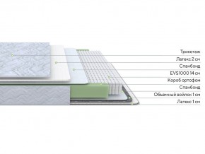 PROxSON Матрас Green S (Tricotage Dream) 80x200 в Игриме - igrim.mebel24.online | фото 2