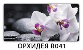 Раздвижной СТ Бриз орхидея R041 Кофе R012 в Игриме - igrim.mebel24.online | фото 4