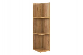 РИЧ Полка навесная 2 в Игриме - igrim.mebel24.online | фото 4