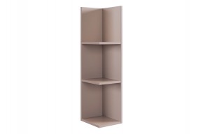 РИЧ Полка навесная 2 в Игриме - igrim.mebel24.online | фото 5