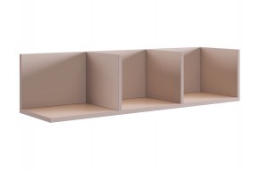 РИЧ Полка навесная 2 (кашемир) в Игриме - igrim.mebel24.online | фото