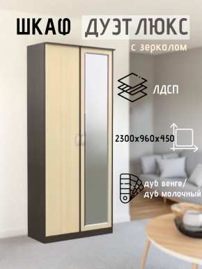 Шкаф 2-х створчатый Дуэт Люкс с зеркалом в Игриме - igrim.mebel24.online | фото