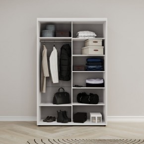 Шкаф-купе Акцент-Квадро Д 1000-600 в Игриме - igrim.mebel24.online | фото 2