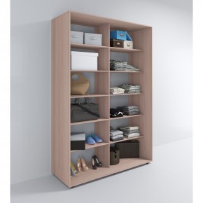 Шкаф-купе Акцент-Квадро Д 1000-600 в Игриме - igrim.mebel24.online | фото 7