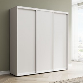 Шкаф-купе Акцент-Сим Д 2400-600 в Игриме - igrim.mebel24.online | фото 1
