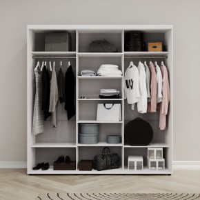Шкаф-купе Акцент-Сим Д 2400-600 в Игриме - igrim.mebel24.online | фото 2