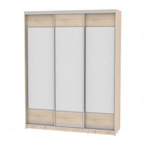 Шкаф-купе B-220х180х60-3 "Белла" (D8D8D8) в Игриме - igrim.mebel24.online | фото
