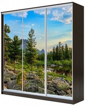 Шкаф-купе ХИТ 22-18/2-777 ПРИРОДА в Игриме - igrim.mebel24.online | фото
